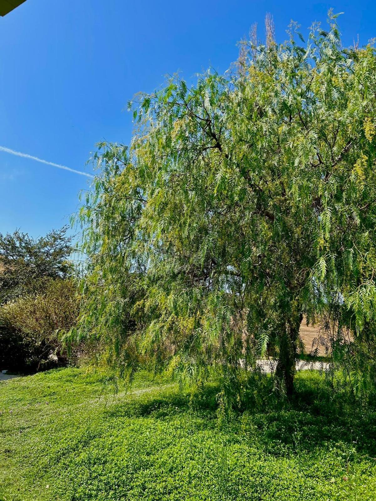 Agriturismo Podere Farnesiana Tarquinia Eksteriør bilde