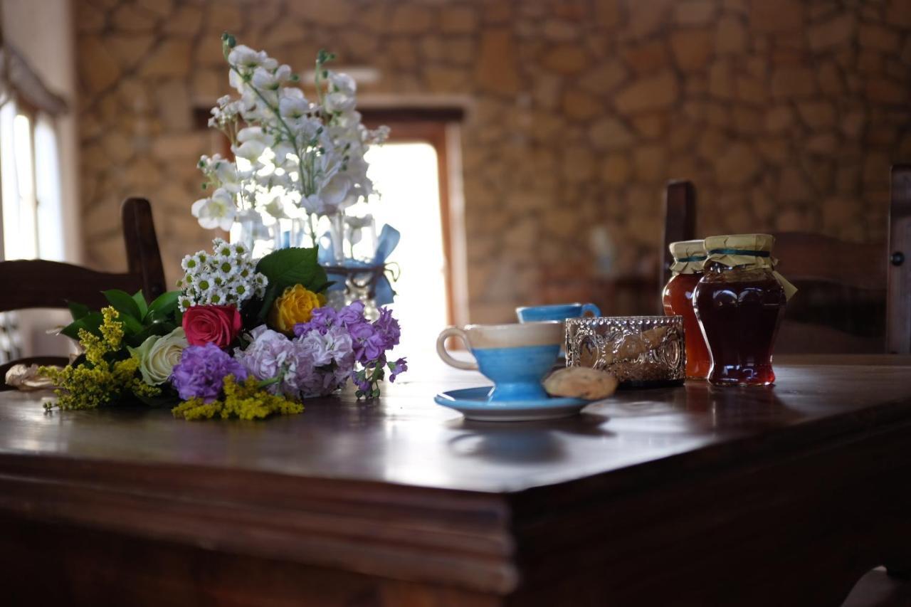 Agriturismo Podere Farnesiana Tarquinia Eksteriør bilde